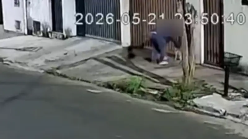 Homem é indiciado por dar chineladas em cachorro em Araxá