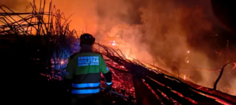 Homem é indiciado por incêndio em bambuzal no Seminário Santo Antônio em Juiz de Fora