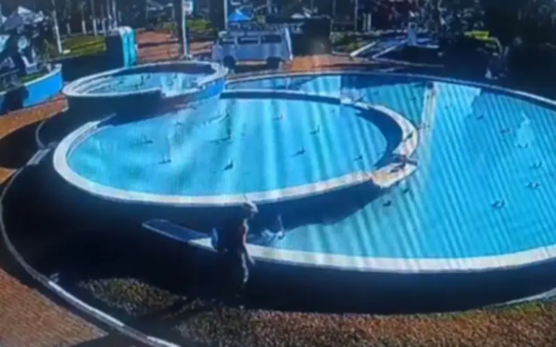 Homem joga filhote de cachorro em fonte em Mirassol e é detido