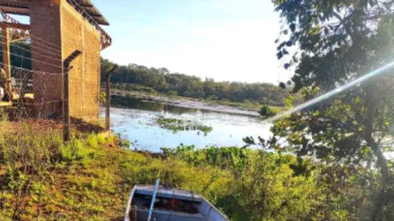 Homem morre afogado ao tentar fugir de enxame de abelhas em Paracatu