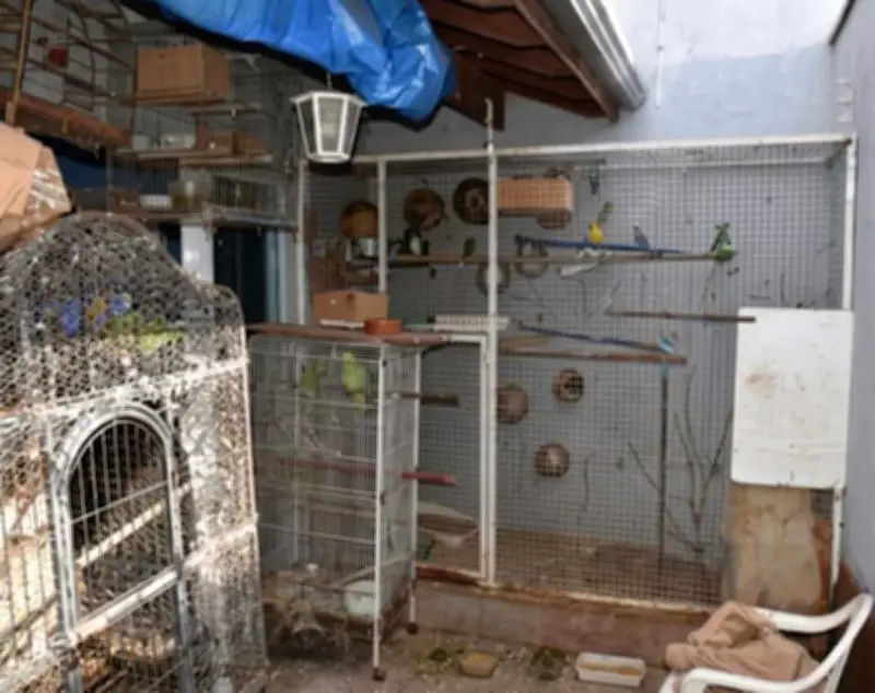 Homem é multado em R$ 272 mil por maus-tratos a 78 animais em Brotas
