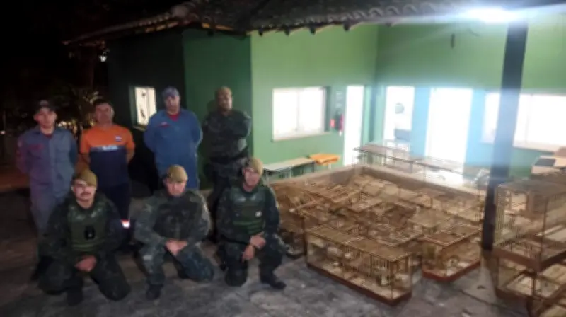 Homem multado em R$ 84 mil por manter aves silvestres ilegais em Araras