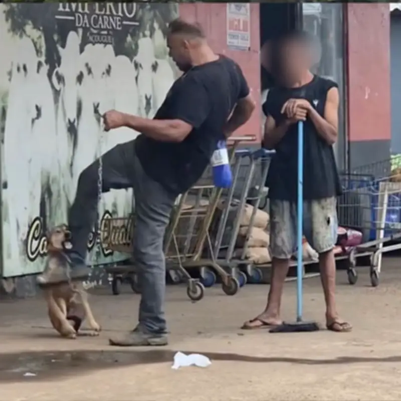 Homem é preso após agredir cachorro caramelo em Porto Velho