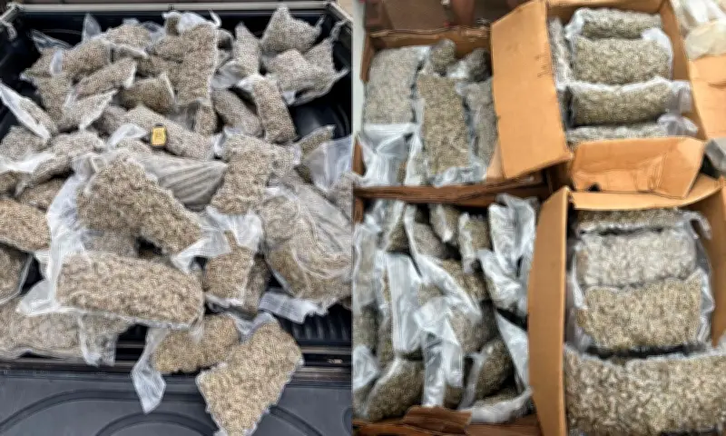 Homem é preso com 200 kg de maconha na Bahia, droga ia para o Rio