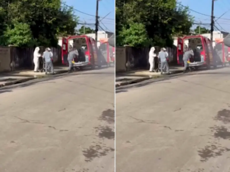 Homem é resgatado inconsciente após ataque de abelhas em Guarujá