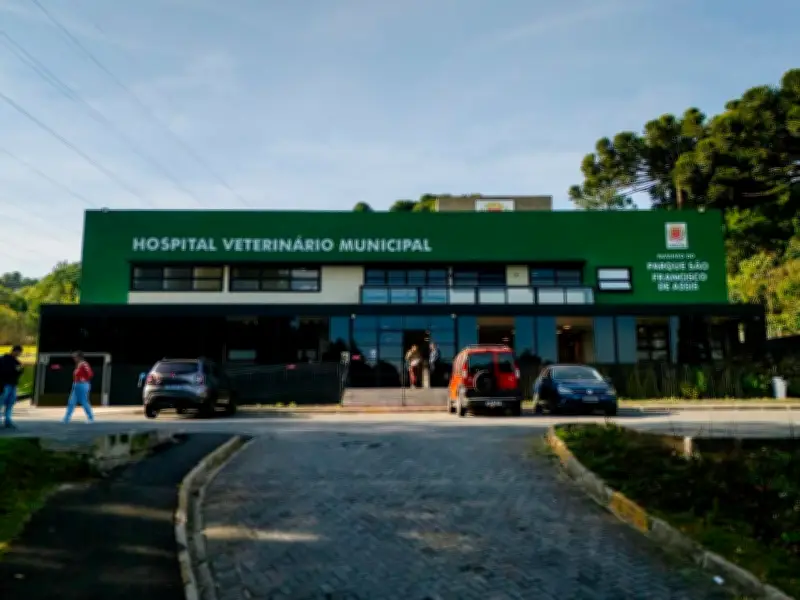 Hospital Veterinário de Curitiba perto de 60 mil atendimentos
