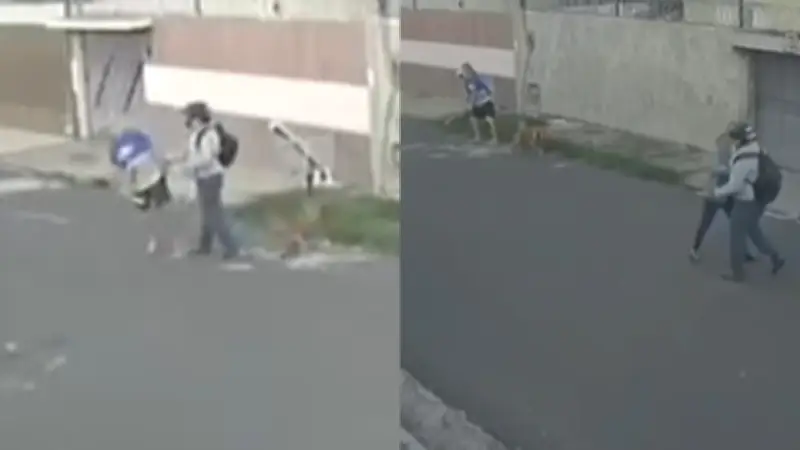 Idoso e cachorro agredidos por motociclista em Teresina; agressor indiciado