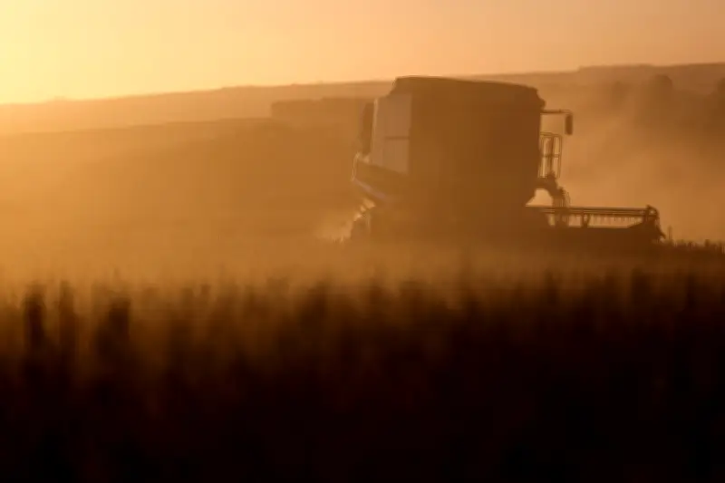 Inadimplência no campo dispara e leilões de terras crescem 30% no Brasil