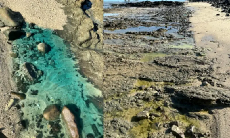 Inema multa empresas em R$ 70 milhões por contaminação em praia de Salvador