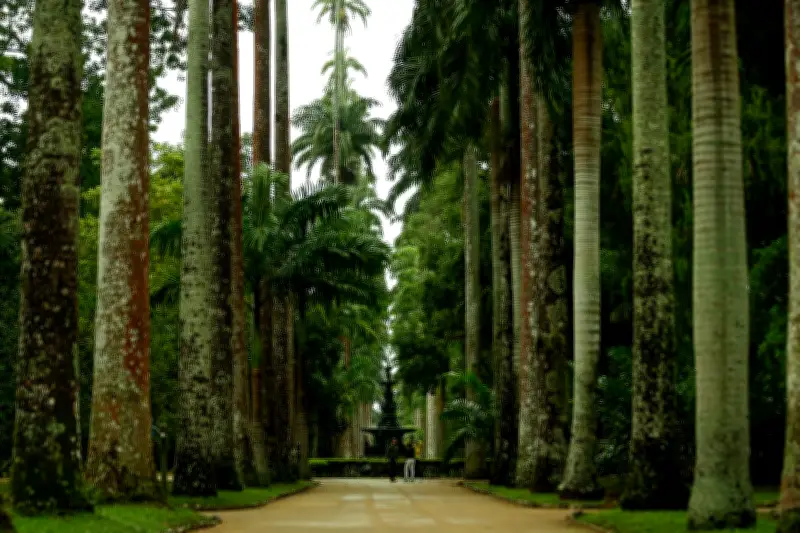 Jardim Botânico do Rio celebra 218 anos com entrada gratuita e novo passaporte interativo