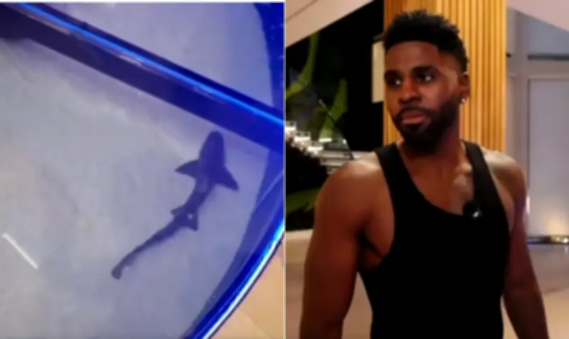 Jason Derulo é criticado por aquário com tubarões no chão de mansão