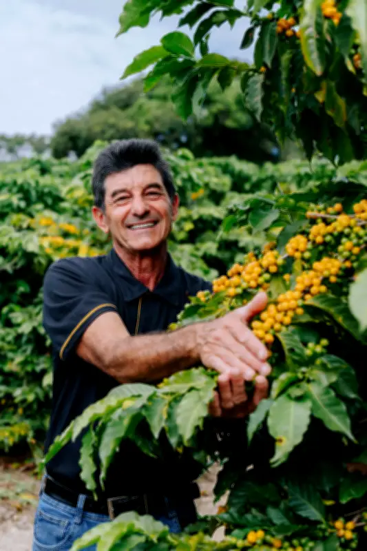 JDE Peet's acelera investimentos em agricultura regenerativa no Brasil