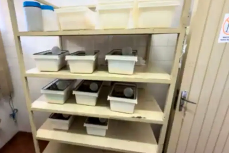 Laboratório de Mogi Guaçu está há 5 anos sem veterinário e registro