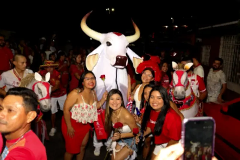 Ladainha de Santo Antônio: fé e rosas marcam cortejo do Garantido