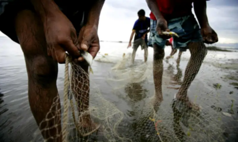 Lei da Cota Zero em MT pode gerar prejuízo de R$ 187 milhões a pescadores