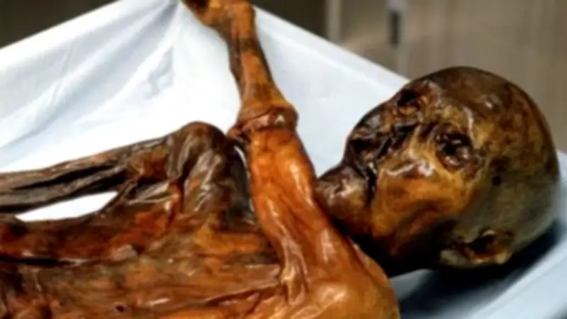 Levedura de múmia Ötzi é usada para fazer pão após 5.300 anos