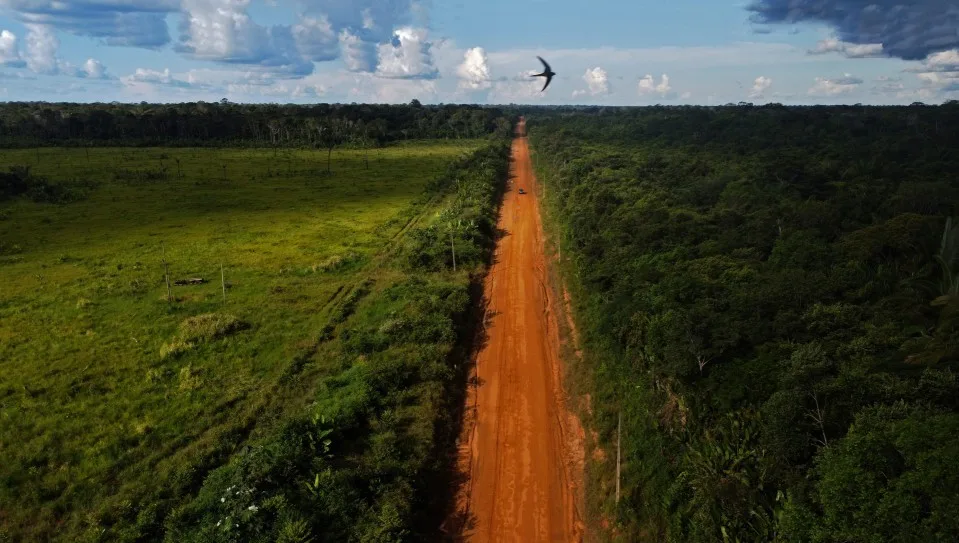 ONGs vão ao STF contra derrubada de vetos ao Licenciamento Ambiental
