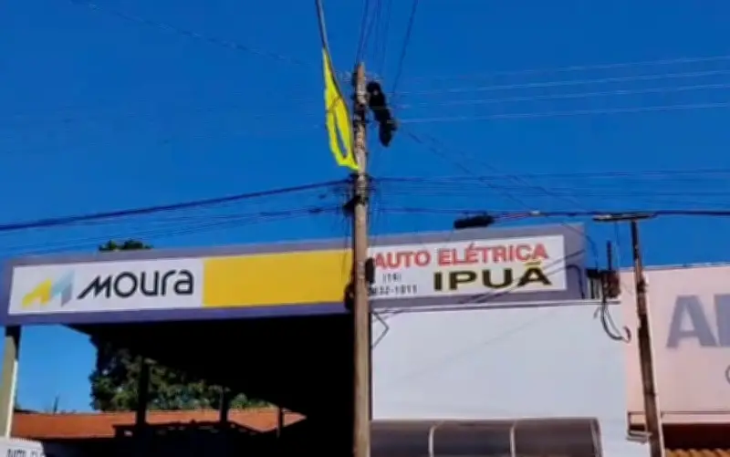 Macaco-bugio morre eletrocutado em rede elétrica em Ipuã (SP)