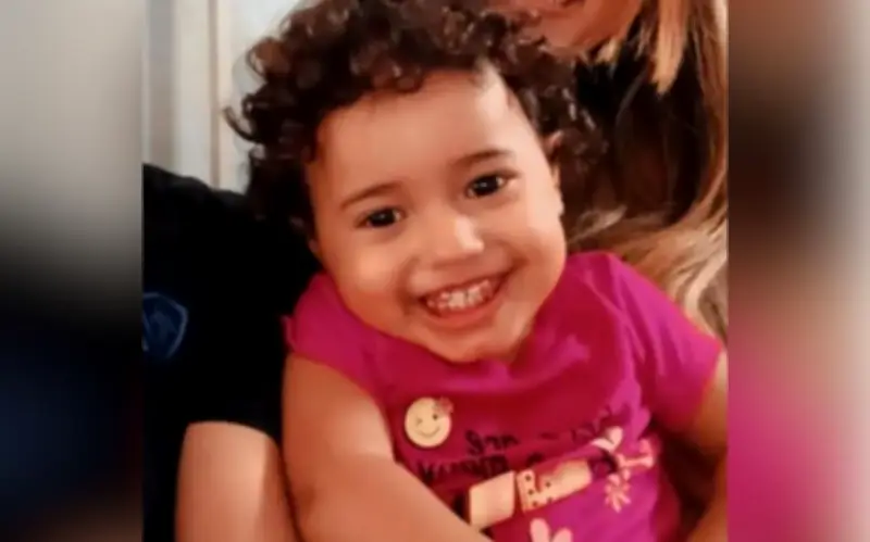 Menina de 2 anos desaparecida em Goiás é encontrada morta