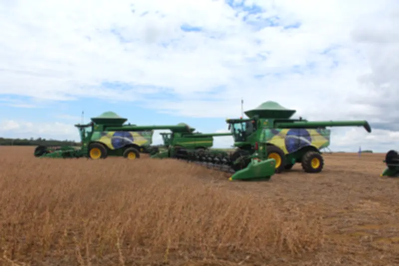 Milho e soja impulsionam recorde agrícola no Tocantins