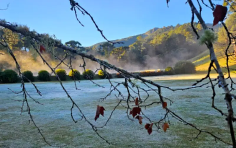 Monte Verde amanhece com 1,3°C e geada na Serra da Mantiqueira