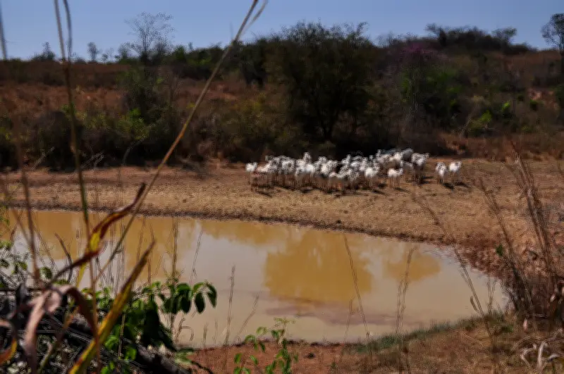 Montes Claros decreta emergência por seca por 180 dias