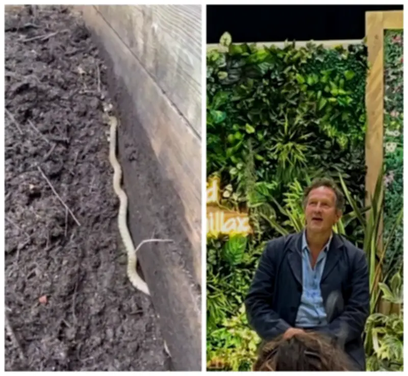 Monty Don flagra cobra em compostagem e alerta jardineiros