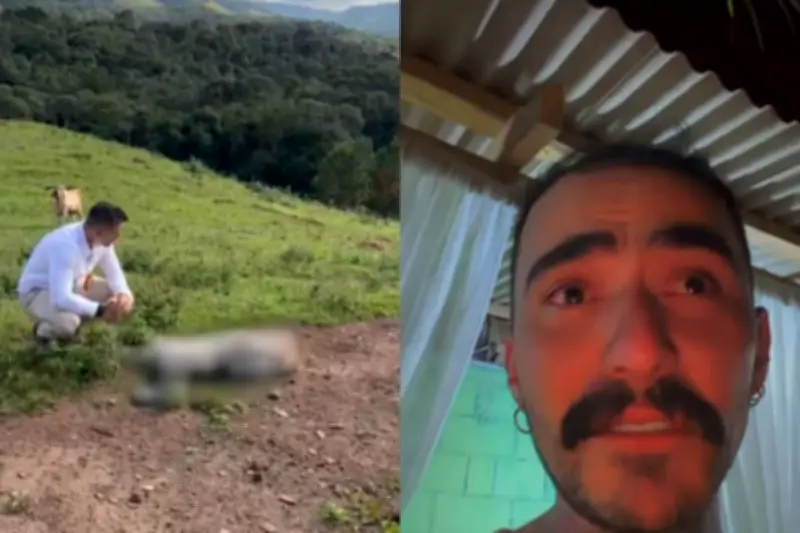 Morte de cabra de influenciador é investigada pela polícia no Paraná