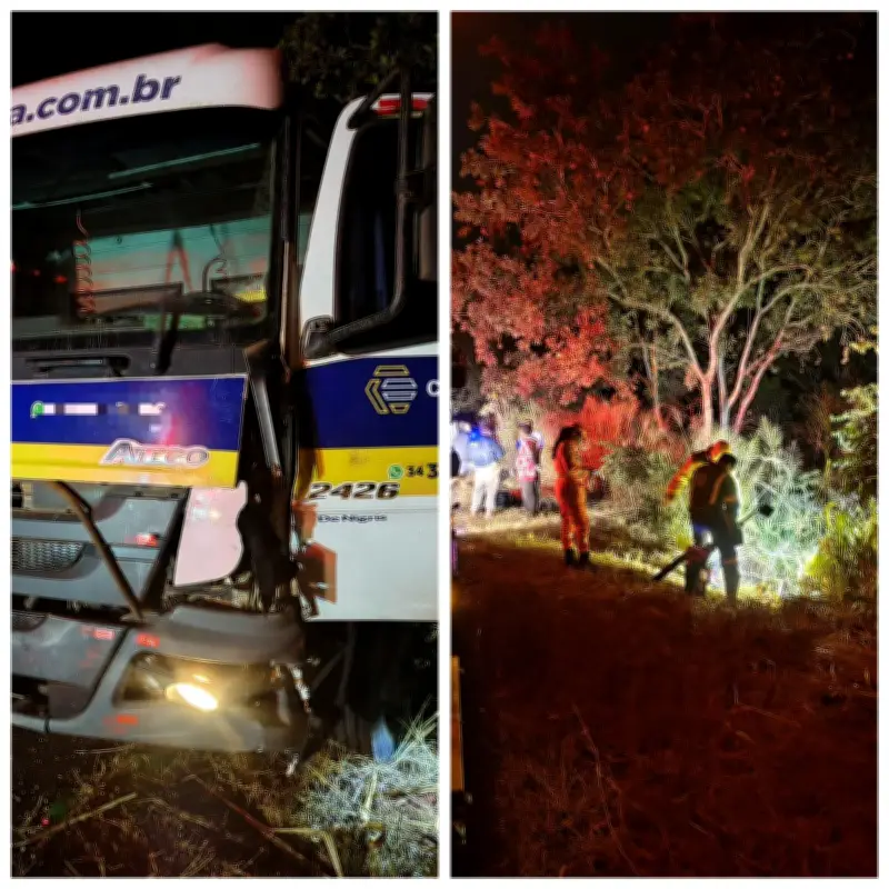 Motociclista morre ao bater de frente com caminhão na BR-365