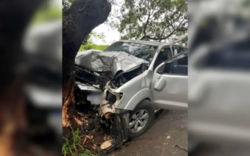 Motorista morre após caminhonete bater contra árvore em Rio Preto