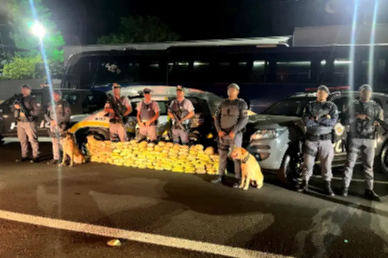 Motorista preso com 100 kg de skunk em fundo falso de ônibus