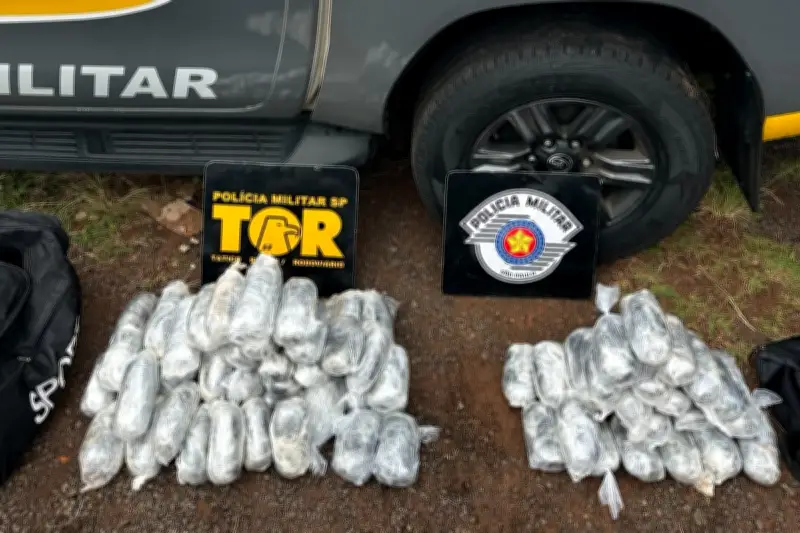 Motorista é preso com 80 pacotes de dry avaliados em R$ 2,8 mi em SP