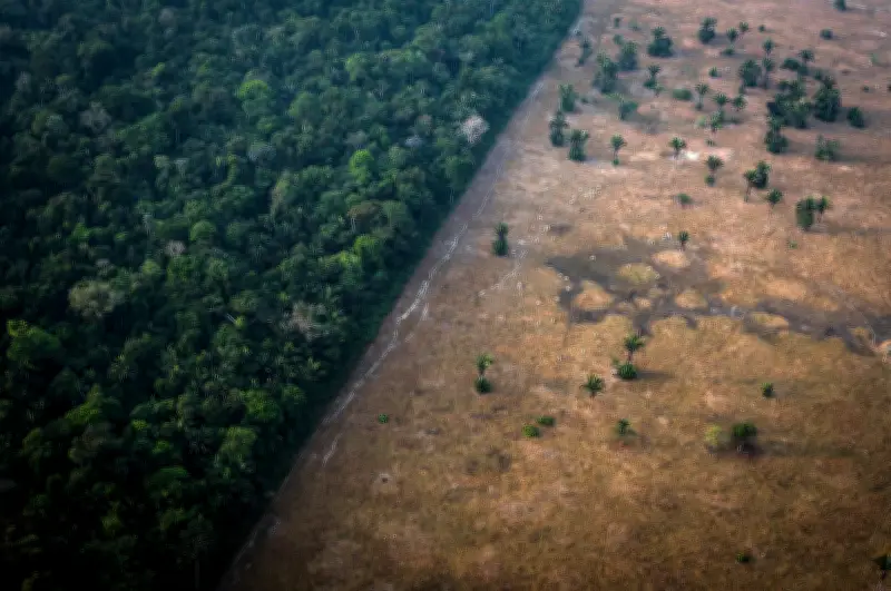 MPF pede suspensão de decreto que reduz reserva legal no AM