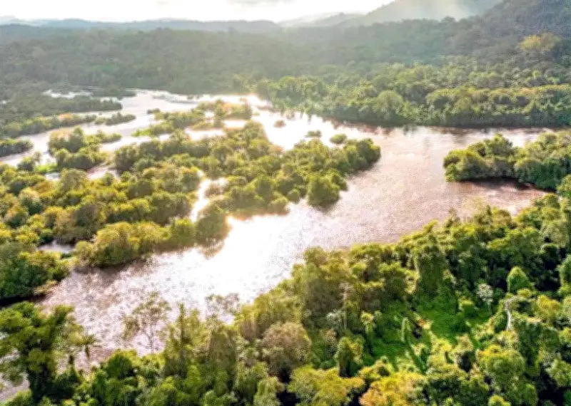 MPF tenta barrar acordo de crédito de carbono no Pará e gera polêmica