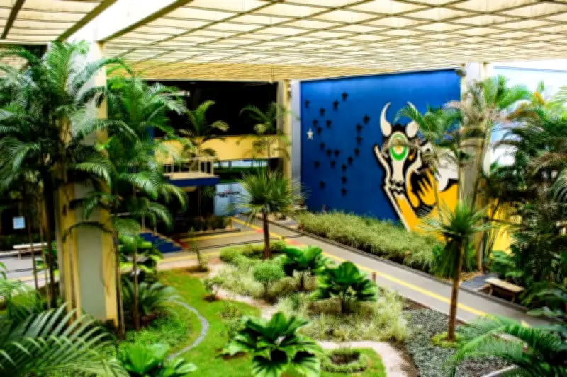 MT e MPE assinam acordo para florestas plantadas e manejo sustentável