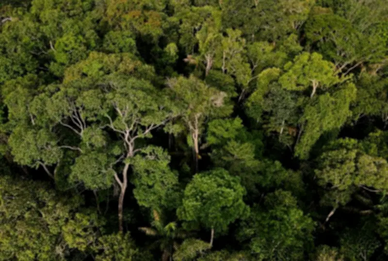 Mudanças climáticas já afetam população do Amazonas, aponta relatório