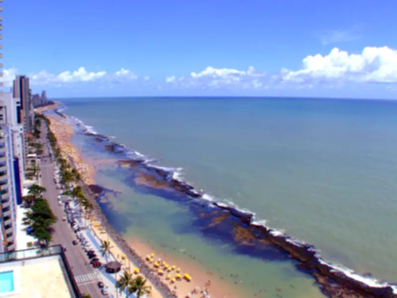 Mulher de 19 anos é mordida por tubarão em praia de Boa Viagem, no Recife