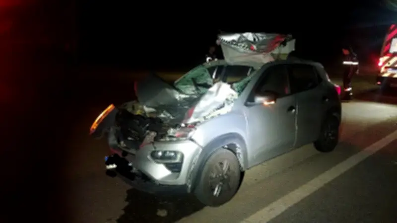 Mulher morre após carro atingir boi na BR-265 em Tiradentes