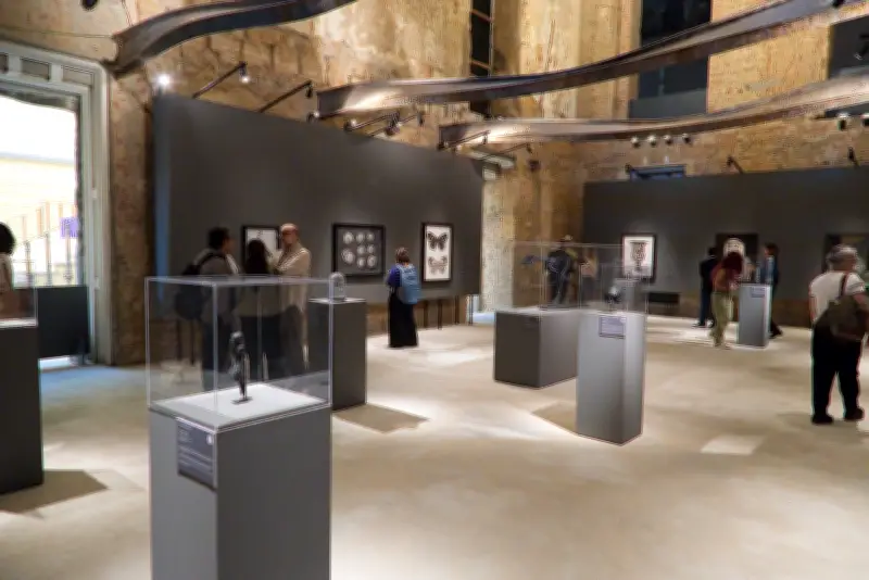 Museu Nacional revela novas exposições com 75% das fachadas restauradas