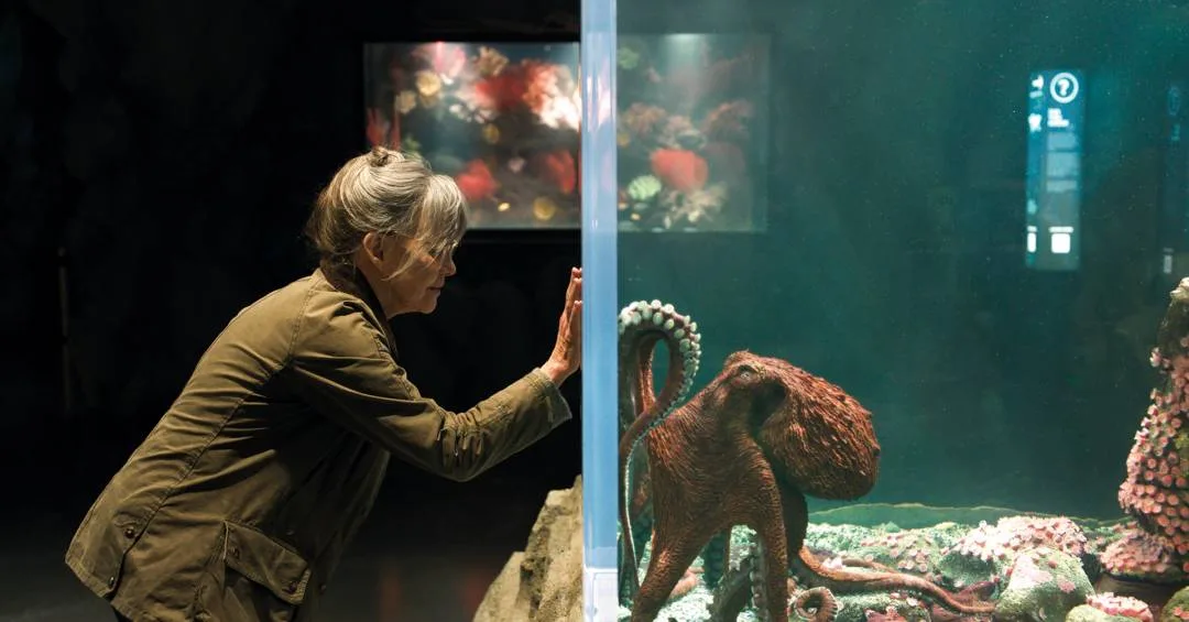 Netflix: Amizade Improvável Entre Idosa e Polvo Gigante Estreia no Streaming