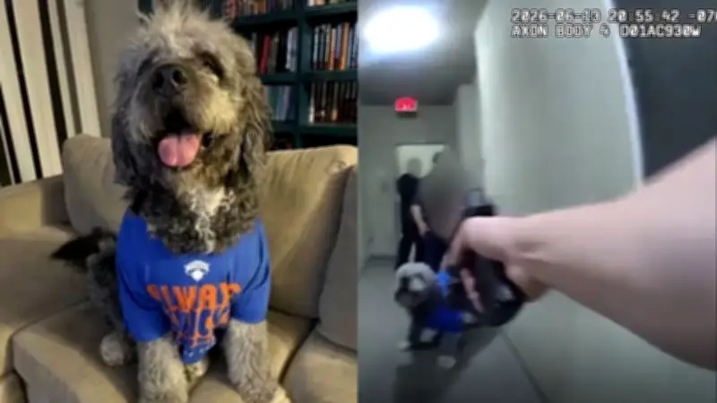 Novas imagens mostram policial matando cão nos EUA
