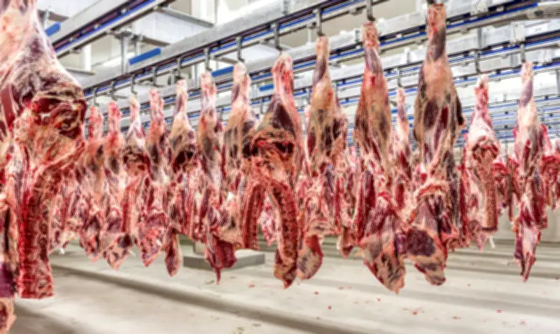 Novo protocolo de certificação para carne bovina atender exigências da UE