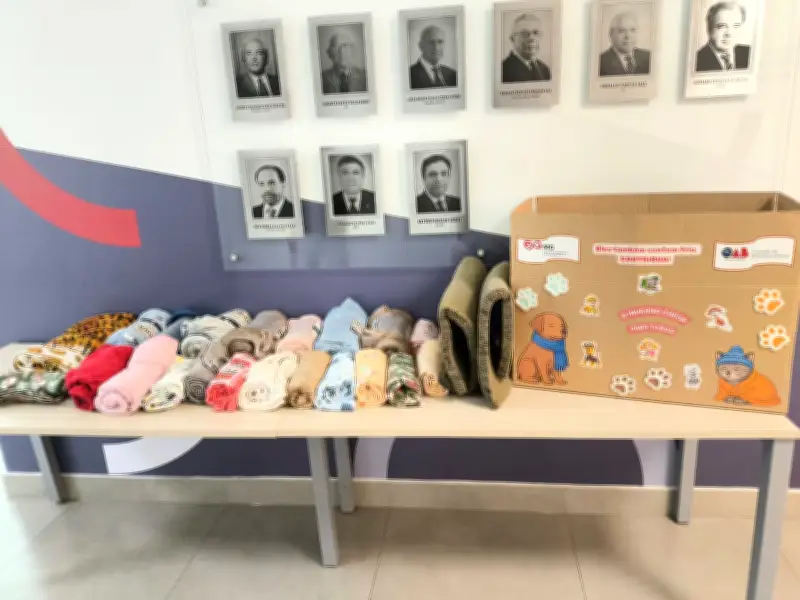 OAB Juiz de Fora arrecada roupas e casinhas para pets no inverno
