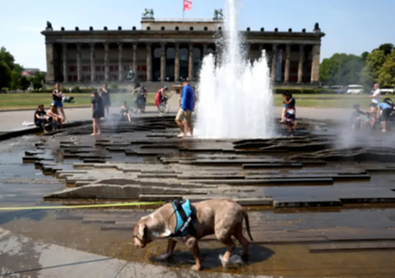 Ondas de calor derretem trilhos e interrompem bondes em Leipzig, na Alemanha