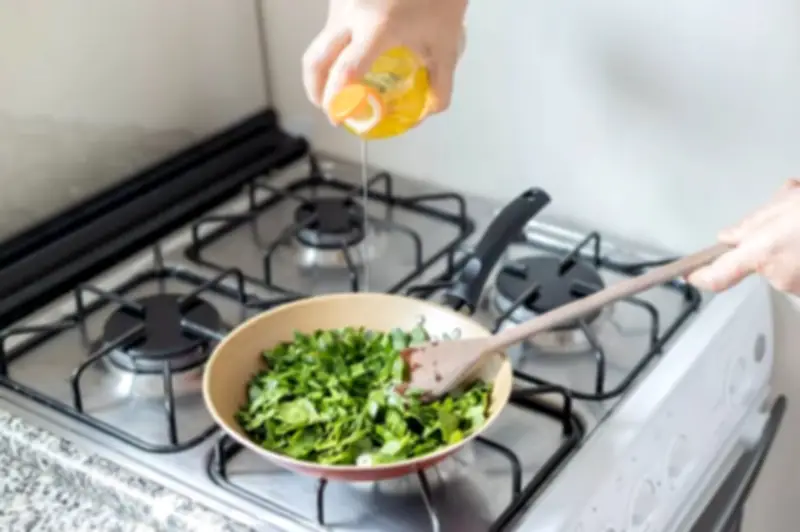 Ora-pro-nóbis: benefícios e receitas para saúde e nutrição