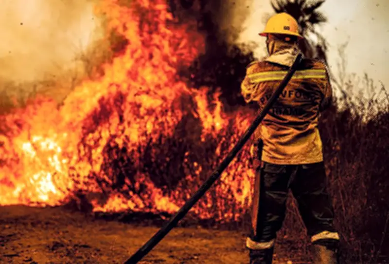 Pantanal se prepara para 'super El Niño' com ações preventivas contra incêndios