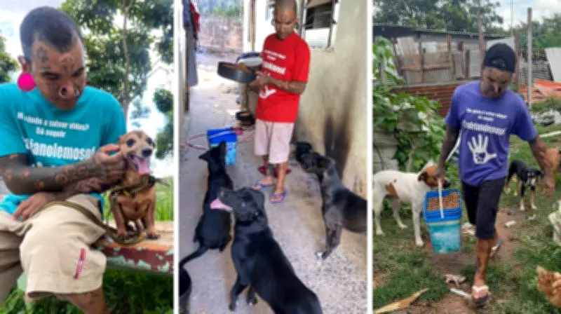 Passeador cuida de quase 100 animais e sonha com abrigo no interior de SP