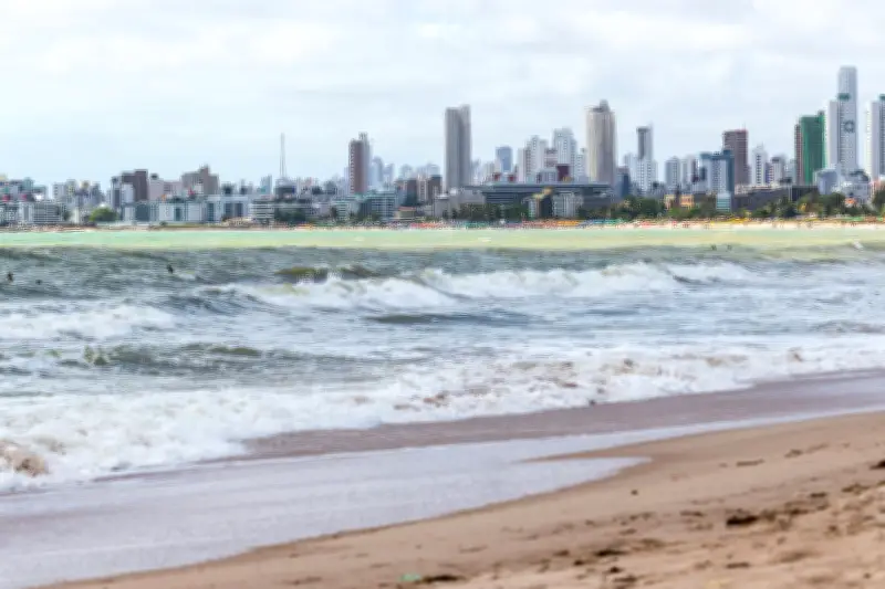 Pernambuco registra 84 incidentes com tubarões em 34 anos; veja cronologia