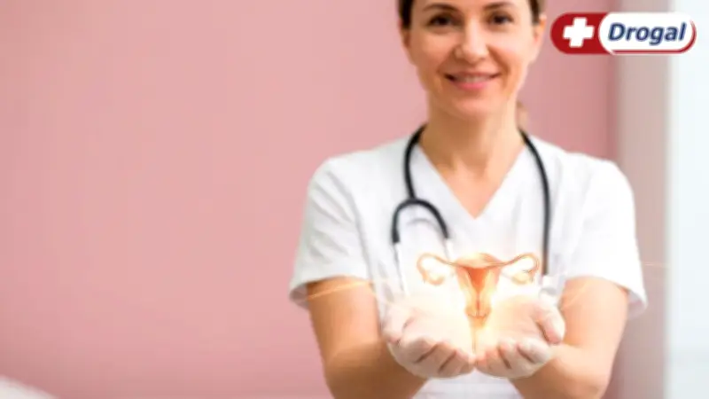 Período fértil: como identificar sinais e calcular os dias de maior chance