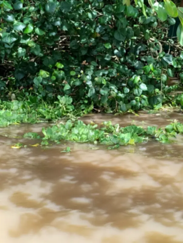 Pescador de 65 anos é encontrado morto na Lagoa Mundaú, em AL